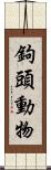 鉤頭動物 Scroll