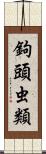 鉤頭虫類 Scroll