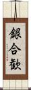 銀合歓 Scroll