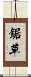 鋸草 Scroll