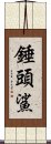 錘頭鯊 Scroll