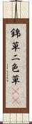 錦草 Scroll