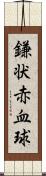 鎌状赤血球 Scroll
