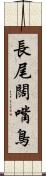 長尾闊嘴鳥 Scroll
