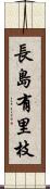 長島有里枝 Scroll