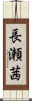 長瀬茜 Scroll