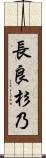 長良杉乃 Scroll
