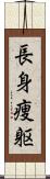 長身痩躯 Scroll