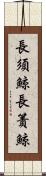 長須鯨 Scroll
