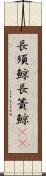 長須鯨 Scroll
