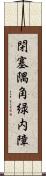 閉塞隅角緑内障 Scroll
