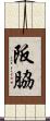 阪脇 Scroll