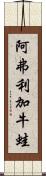 阿弗利加牛蛙 Scroll