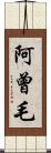 阿曾毛 Scroll