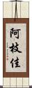 阿枝佳 Scroll