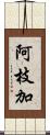 阿枝加 Scroll