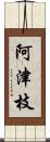 阿津枝 Scroll