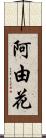 阿由花 Scroll