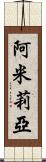 Amilia Scroll