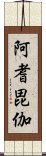 阿耆毘伽 Scroll