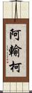 阿輸柯 Scroll