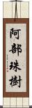 阿部珠樹 Scroll