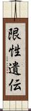 限性遺伝 Scroll