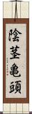 陰茎亀頭 Scroll