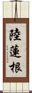 陸蓮根 Scroll