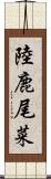 陸鹿尾菜 Scroll
