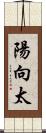 陽向太 Scroll