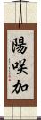 陽咲加 Scroll