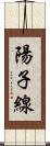 陽子線 Scroll