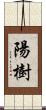 陽樹 Scroll