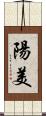 陽美 Scroll