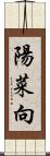 陽菜向 Scroll