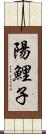 陽鯉子 Scroll