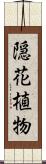 隠花植物 Scroll
