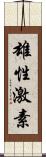 雄性激素 Scroll