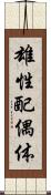雄性配偶体 Scroll
