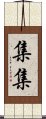 集集 Scroll