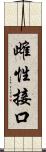 雌性接口 Scroll