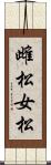 雌松 Scroll