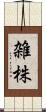 雑株 Scroll