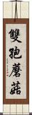 雙孢蘑菇 Scroll