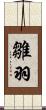 雛羽 Scroll