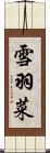 雪羽菜 Scroll