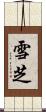 雪芝 Scroll