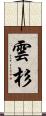 雲杉 Scroll