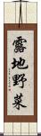 露地野菜 Scroll
